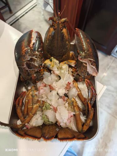 Live Maine Lobster photo review